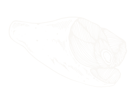 testimonial shape two